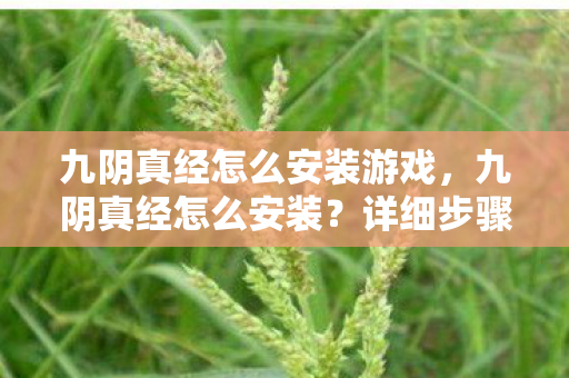 九阴真经怎么安装游戏,九阴真经怎么安装?详细步骤解析 九阴真经怎么安装游戏,九阴真经怎么安装?详细步骤解析