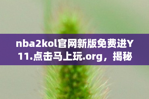 nba2kol官网新版免费进Y11.点击马上玩.org，揭秘NBA2KOL，从官网洞察这款篮球游戏的魅力所在