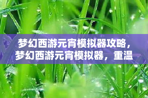 梦幻西游元宵模拟器攻略，梦幻西游元宵模拟器，重温经典，再续前缘