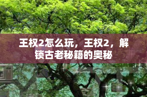 王权2怎么玩，王权2，解锁古老秘籍的奥秘
