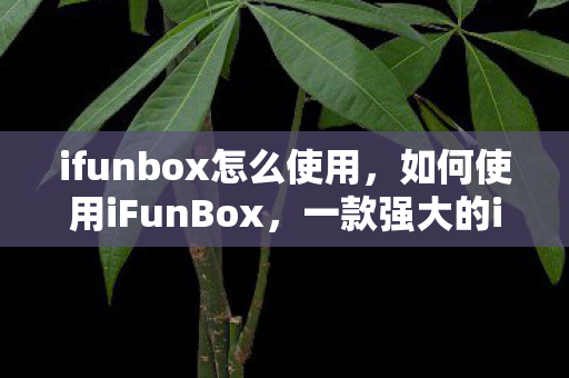 ifunbox怎么使用，如何使用iFunBox，一款强大的iOS设备管理工具