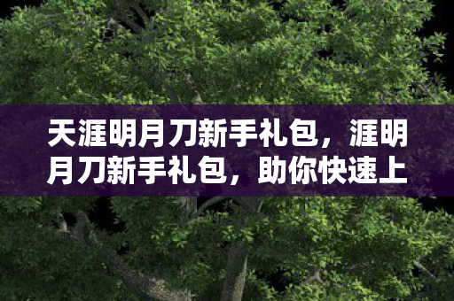 天涯明月刀新手礼包,涯明月刀新手礼包,助你快速上手的攻略指南 天涯明月刀新手礼包,涯明月刀新手礼包,助你快速上手的攻略指南