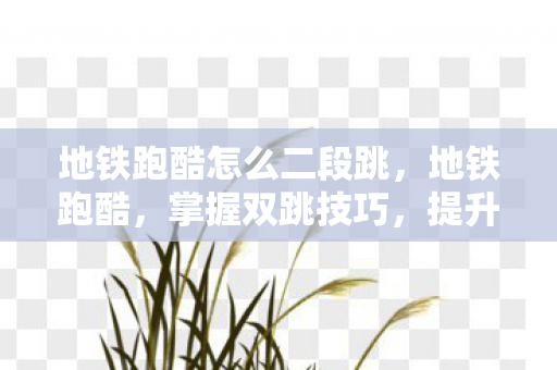 地铁跑酷怎么二段跳，地铁跑酷，掌握双跳技巧，提升游戏速度