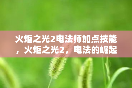 火炬之光2电法师加点技能，火炬之光2，电法的崛起与技巧解析