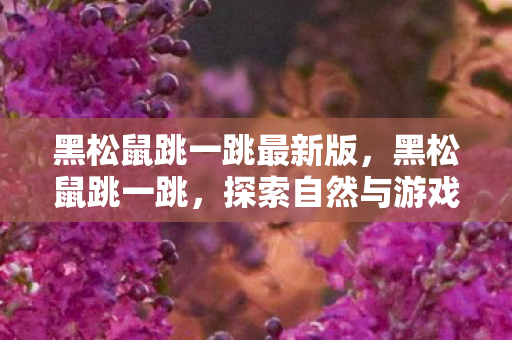 黑松鼠跳一跳最新版，黑松鼠跳一跳，探索自然与游戏的奇妙结合