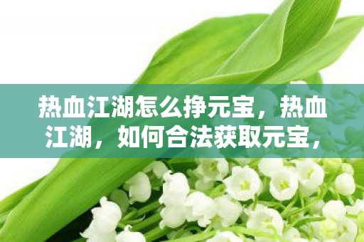 热血江湖怎么挣元宝，热血江湖，如何合法获取元宝，避免私服刷元宝的风险