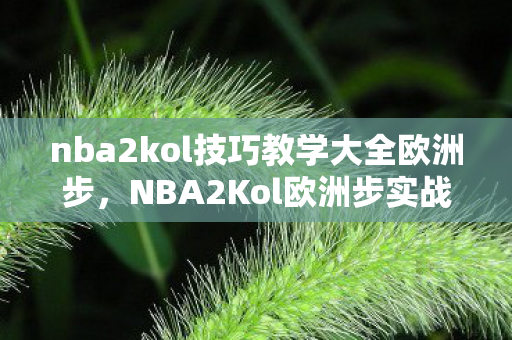 nba2kol技巧教学大全欧洲步，NBA2Kol欧洲步实战教学指南
