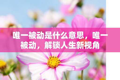 唯一被动是什么意思,唯一被动,解锁人生新视角 唯一被动是什么意思,唯一被动,解锁人生新视角