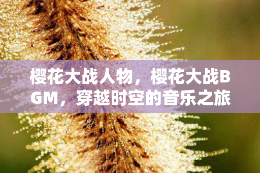 樱花大战人物，樱花大战BGM，穿越时空的音乐之旅