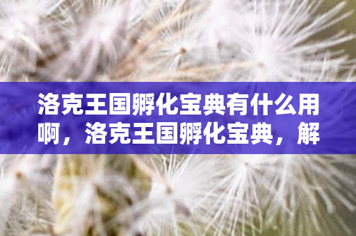 洛克王国孵化宝典有什么用啊，洛克王国孵化宝典，解锁宠物与战斗技巧的神秘钥匙