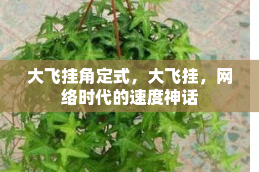 大飞挂角定式，大飞挂，网络时代的速度神话