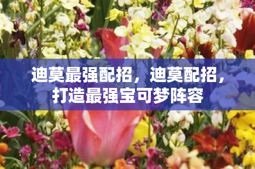 迪莫最强配招,迪莫配招,打造最强宝可梦阵容 迪莫最强配招,迪莫配招,打造最强宝可梦阵容