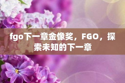 fgo下一章金像奖，FGO，探索未知的下一章