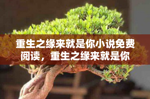 重生之缘来就是你小说免费阅读,重生之缘来就是你 重生之缘来就是你小说免费阅读,重生之缘来就是你