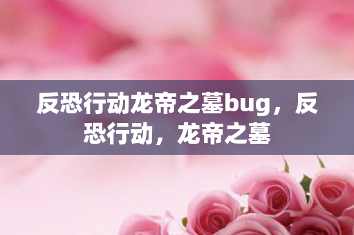 反恐行动龙帝之墓bug,反恐行动,龙帝之墓 反恐行动龙帝之墓bug,反恐行动,龙帝之墓