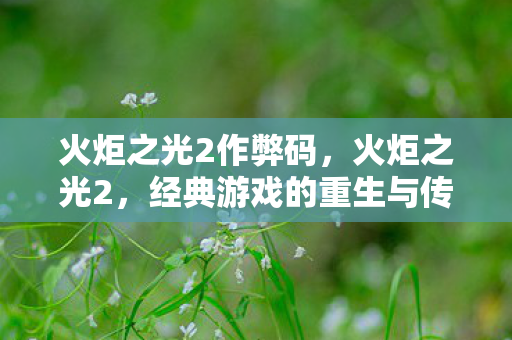 火炬之光2作弊码,火炬之光2,经典游戏的重生与传承 火炬之光2作弊码,火炬之光2,经典游戏的重生与传承