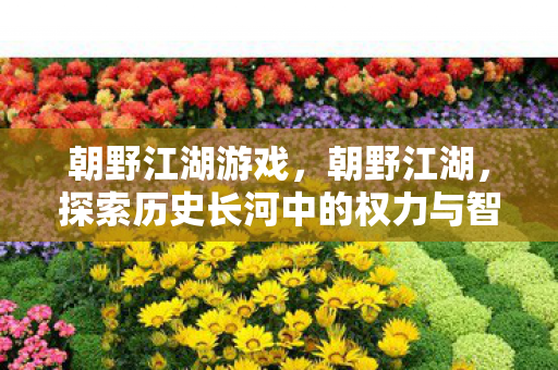 朝野江湖游戏,朝野江湖,探索历史长河中的权力与智慧 朝野江湖游戏,朝野江湖,探索历史长河中的权力与智慧
