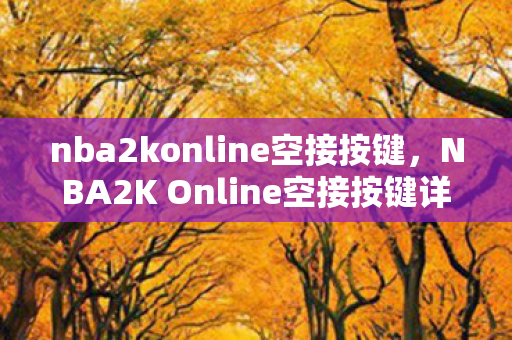 nba2konline空接按键，NBA2K Online空接按键详解，掌握技巧，轻松得分！
