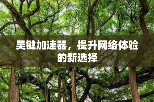 吴键加速器，提升网络体验的新选择