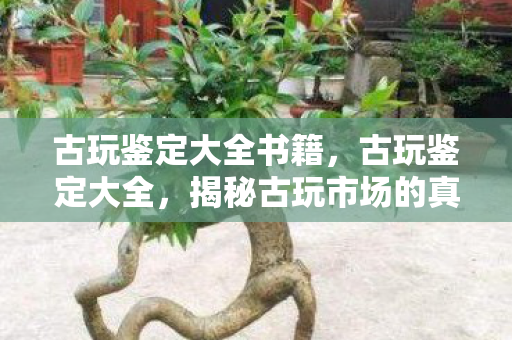 古玩鉴定大全书籍,古玩鉴定大全,揭秘古玩市场的真伪与鉴赏技巧 古玩鉴定大全书籍,古玩鉴定大全,揭秘古玩市场的真伪与鉴赏技巧