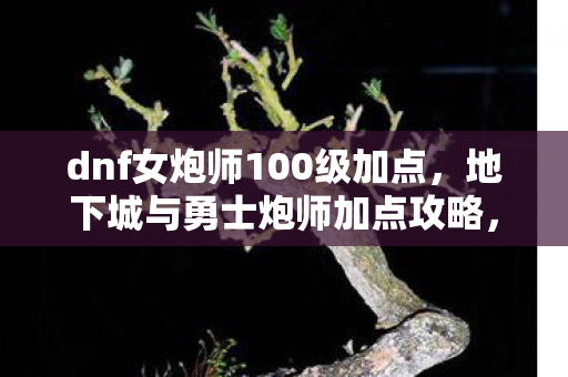 dnf女炮师100级加点，地下城与勇士炮师加点攻略，打造最强炮师，轻松通关副本