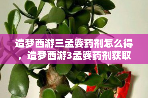 造梦西游三孟婆药剂怎么得,造梦西游3孟婆药剂获取攻略 造梦西游三孟婆药剂怎么得,造梦西游3孟婆药剂获取攻略