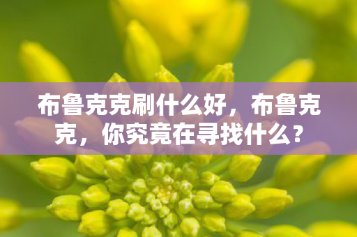 布鲁克克刷什么好，布鲁克克，你究竟在寻找什么？