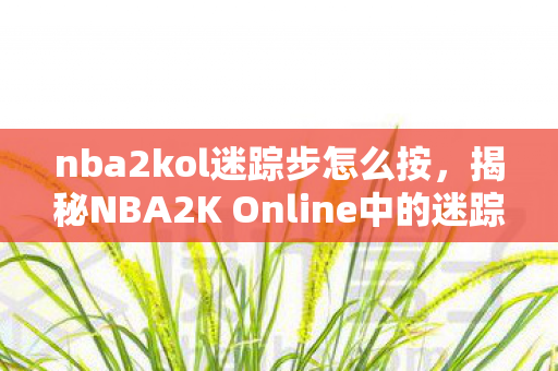 nba2kol迷踪步怎么按，揭秘NBA2K Online中的迷踪步，掌握技巧，成为球场高手