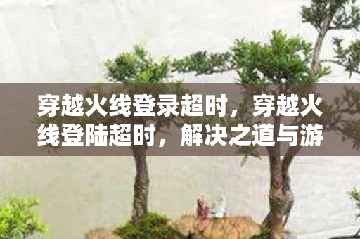 解决之道与游戏体验优化图片