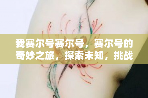 我赛尔号赛尔号,赛尔号的奇妙之旅,探索未知,挑战极限 我赛尔号赛尔号,赛尔号的奇妙之旅,探索未知,挑战极限