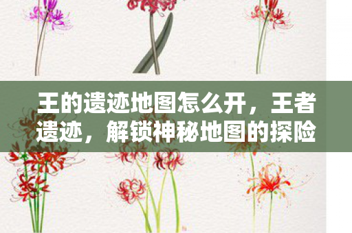 王的遗迹地图怎么开,王者遗迹,解锁神秘地图的探险之旅 王的遗迹地图怎么开,王者遗迹,解锁神秘地图的探险之旅