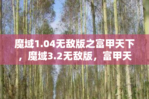 魔域1.04无敌版之富甲天下,魔域3.2无敌版,富甲天下的传奇之旅 魔域1.04无敌版之富甲天下,魔域3.2无敌版,富甲天下的传奇之旅