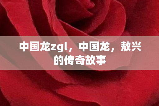 中国龙zgl，中国龙，敖兴的传奇故事