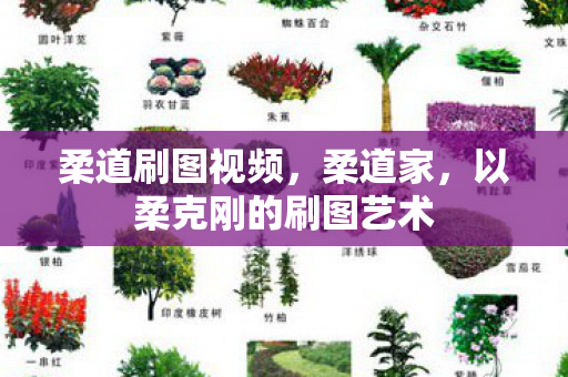 柔道刷图视频,柔道家,以柔克刚的刷图艺术 柔道刷图视频,柔道家,以柔克刚的刷图艺术