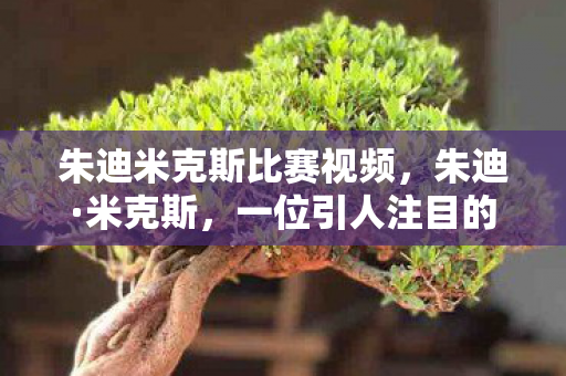 朱迪米克斯比赛视频，朱迪·米克斯，一位引人注目的名字背后的故事