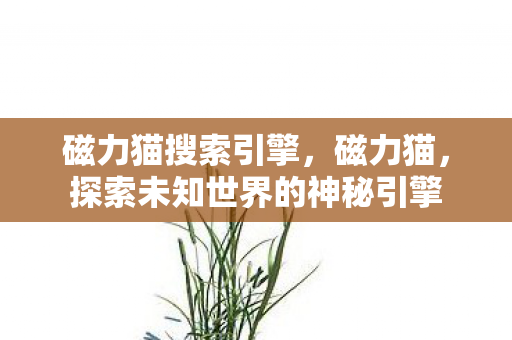 探索未知世界的神秘引擎图片