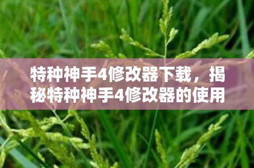 揭秘特种神手4修改器的使用与影响图片
