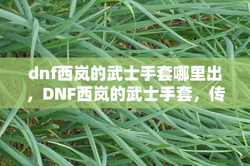 dnf西岚的武士手套哪里出图片