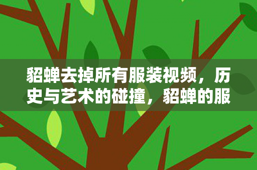 貂蝉去掉所有服装视频图片