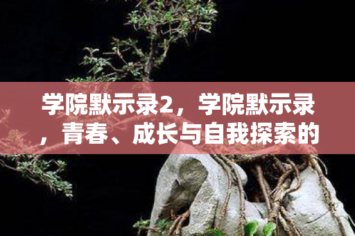 成长与自我探索的交响曲图片