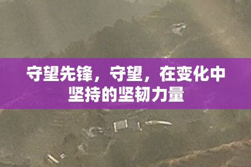 在变化中坚持的坚韧力量图片