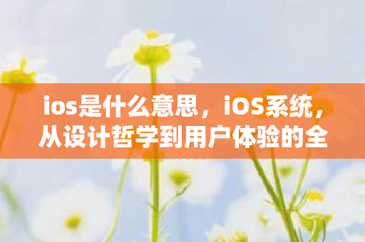 从设计哲学到用户体验的全面解析图片