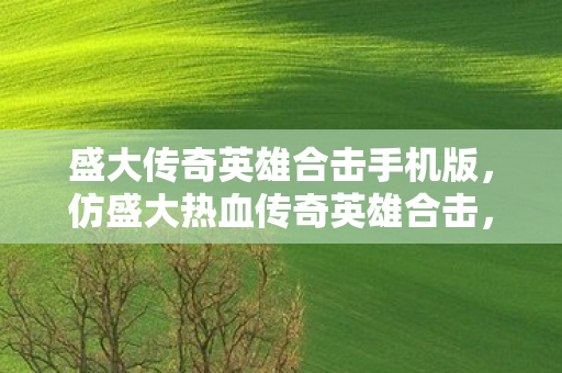 盛大传奇英雄合击手机版图片