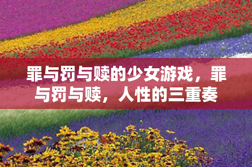 罪与罚与赎的少女游戏图片