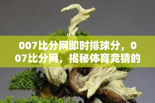 揭秘体育竞猜的乐趣与风险图片