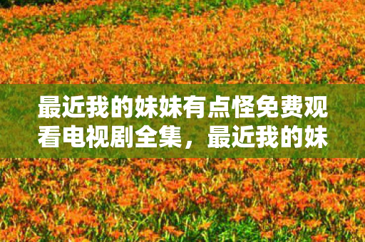 最近我的妹妹有点怪免费观看电视剧全集图片