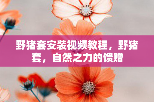 野猪套安装视频教程图片