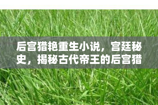 揭秘古代帝王的后宫猎艳之路图片