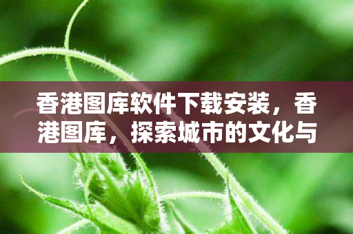 探索城市的文化与艺术瑰宝图片