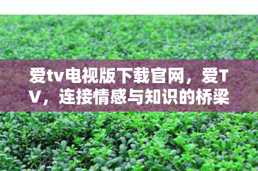爱tv电视版下载官网图片
